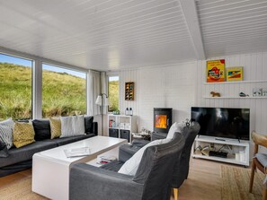 TV, fireplace, DVD player