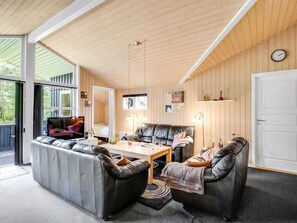 تلفزيون، مدفأة، مشغل دي في دي