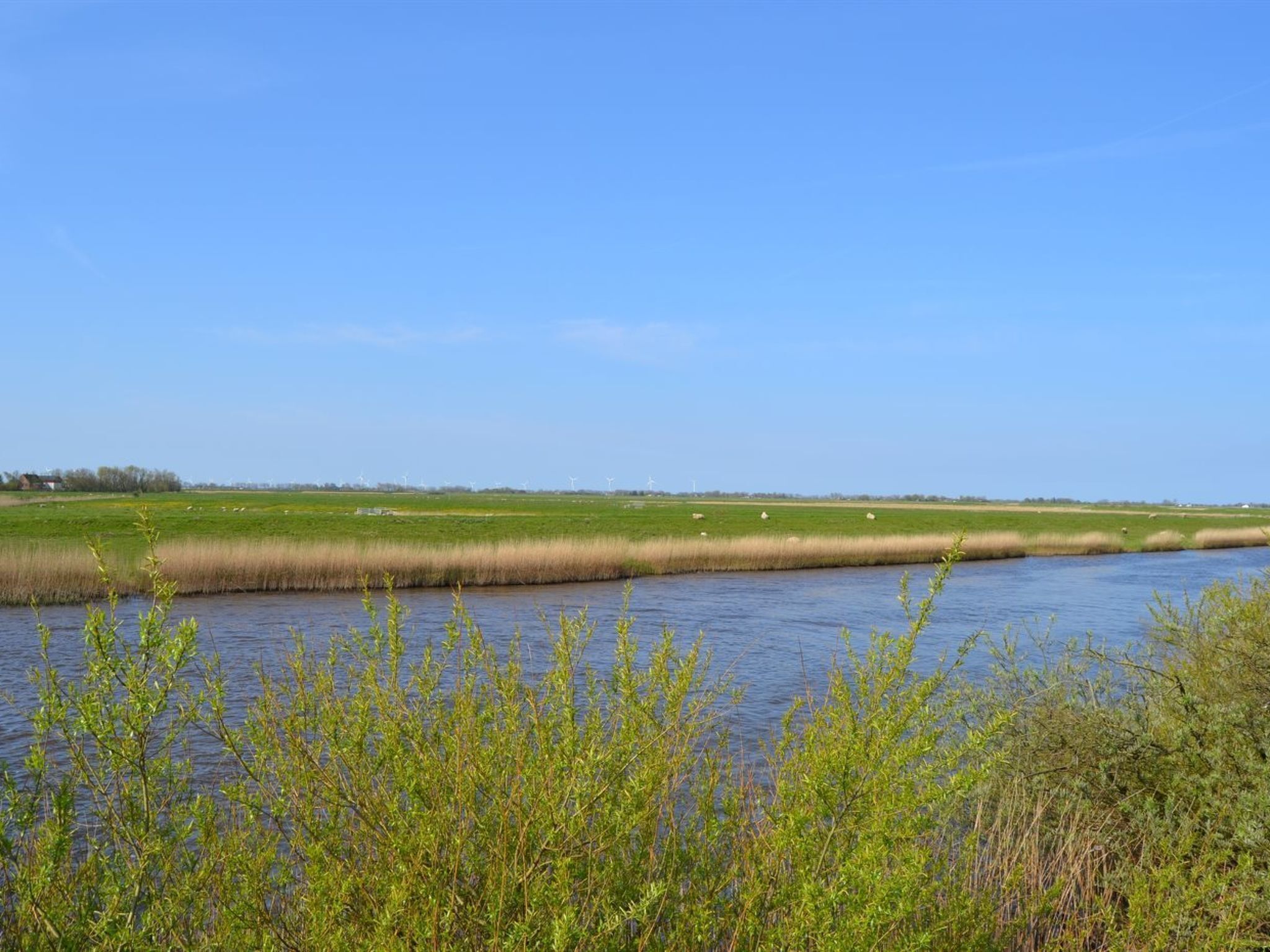 A river with grassy banks and a clear blue sky.