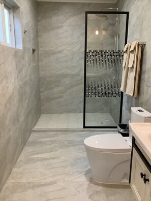 Shower, hair dryer, towels, soap