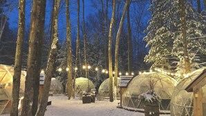 A series of dome-shaped tents in a snowy forest setting, illuminated by string lights.