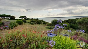 Ein Garten mit verschiedenen Pflanzen und Blumen, eine Steinmauer und Blick auf einen See.