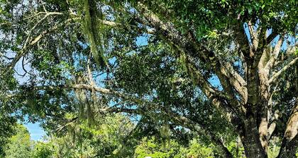 Mason Creek on Homosassa River, 2/1, pets yes, floating dock, back/front porch