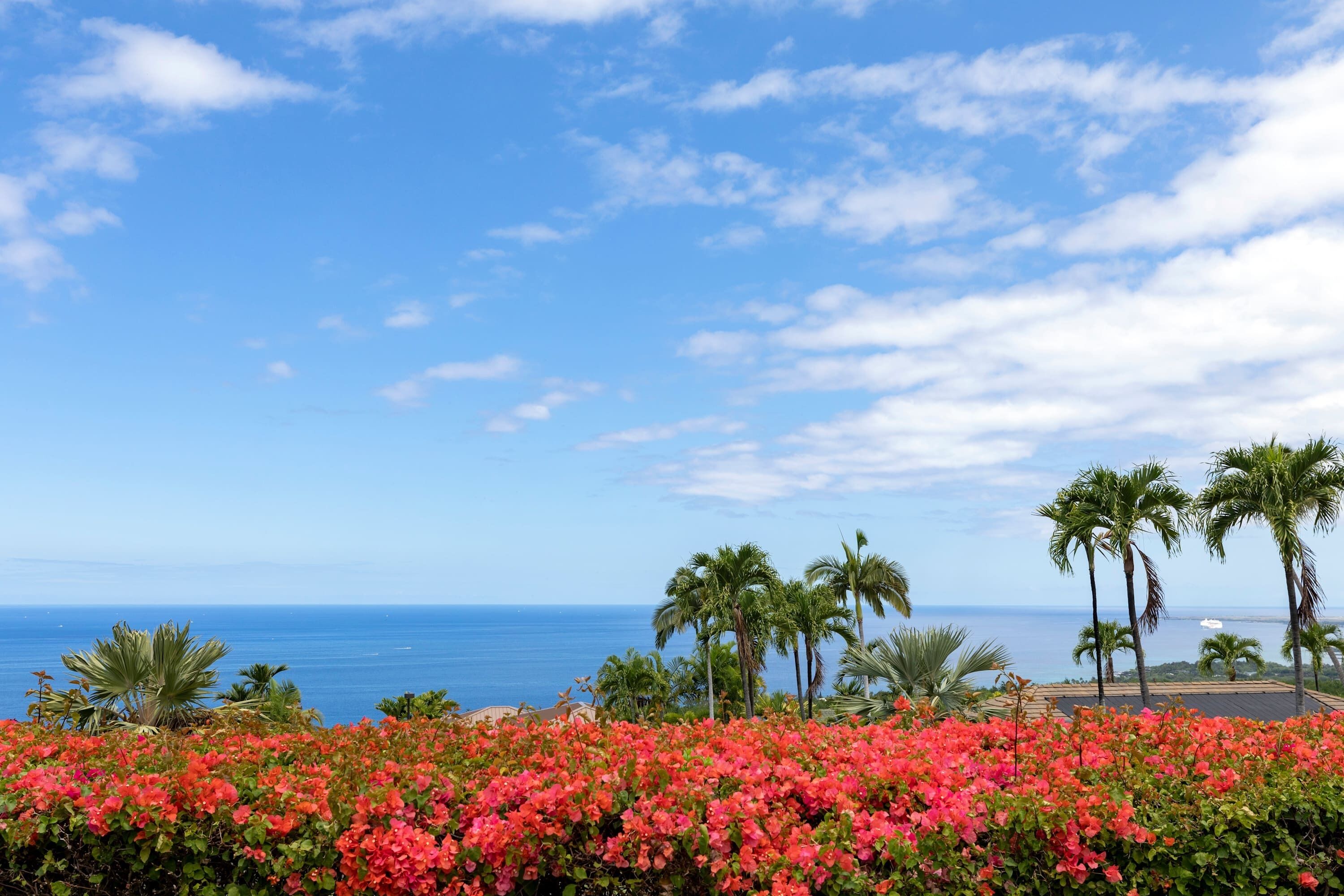 Eine Küstenlandschaft mit Blick auf das Meer, Palmen und roten Blüten.