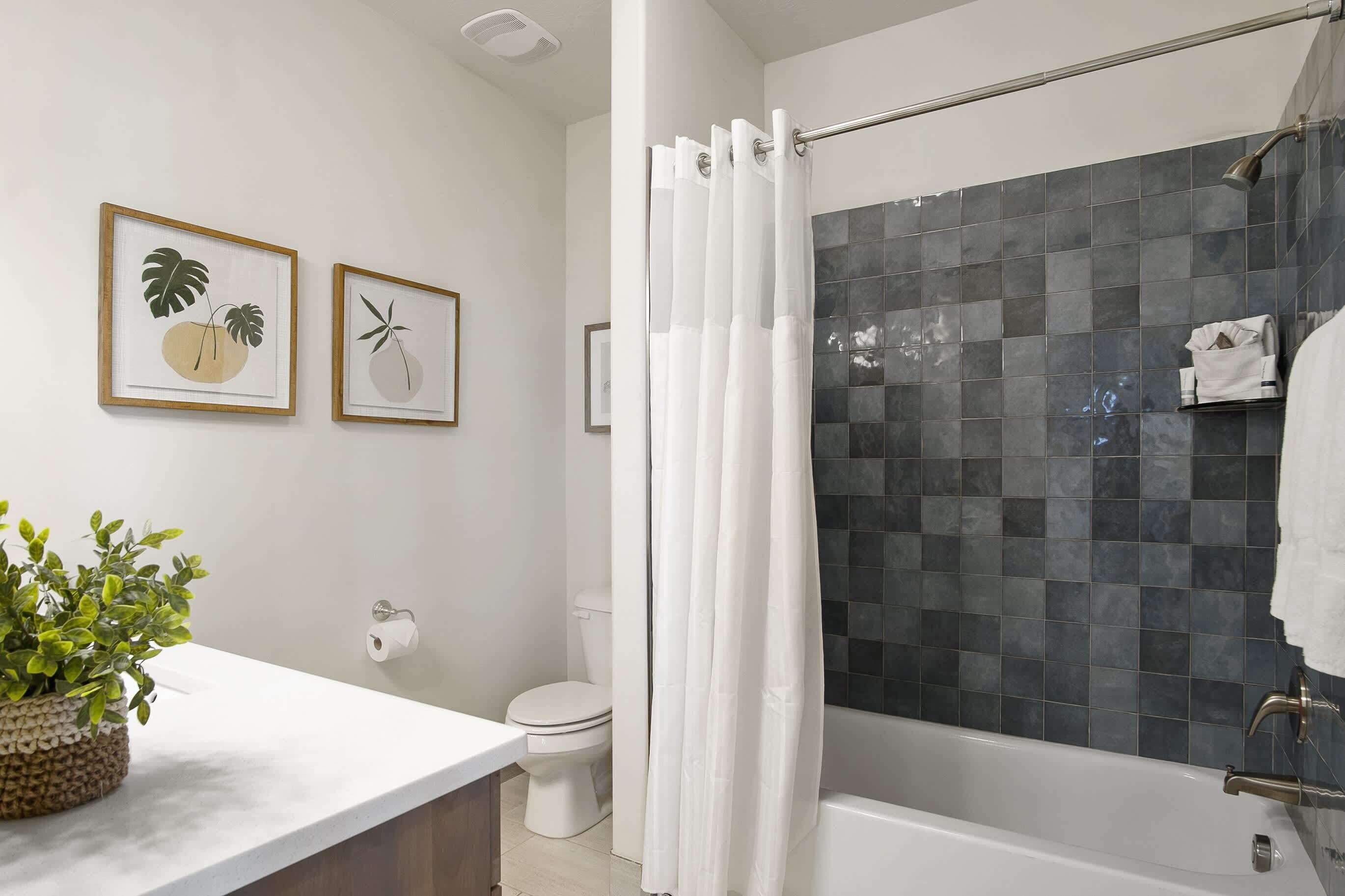 Ein modernes Badezimmer mit Dusche, Toilette und Badewanne. An den Wänden hängen botanische Drucke in Bilderrahmen und auf der Ablage steht ein Topf mit einer Pflanze.