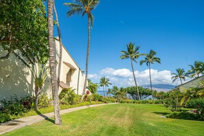 Property grounds - Hale Kai at Maui Kamaole (Kihei)