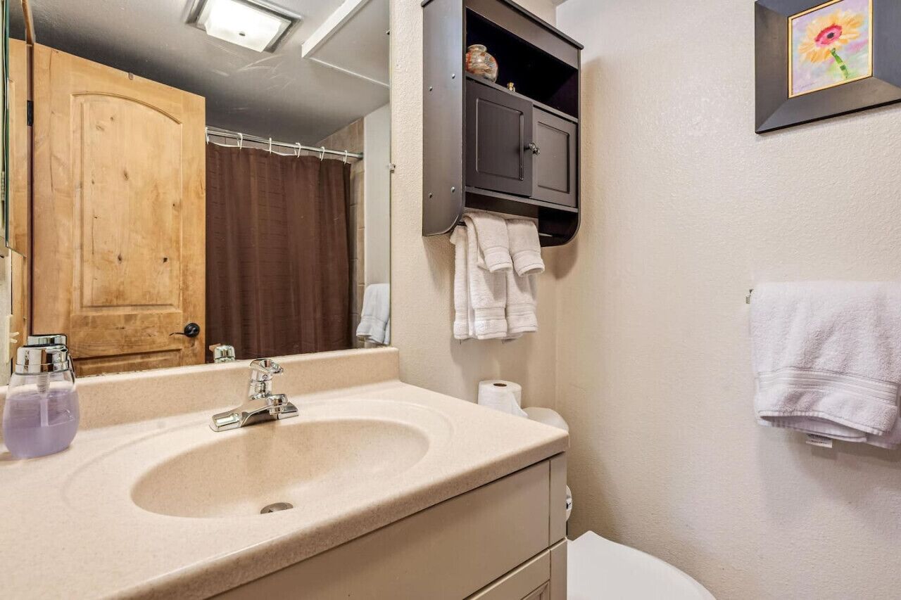Un baño con un lavamanos color beige, un espejo, una puerta de madera, una cortina de ducha, un perchero y un cuadro en la pared.