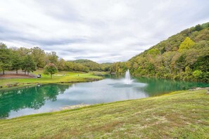 Miscellaneous - Honey Bee Inn w - Communal Amenities & More! (Branson West)