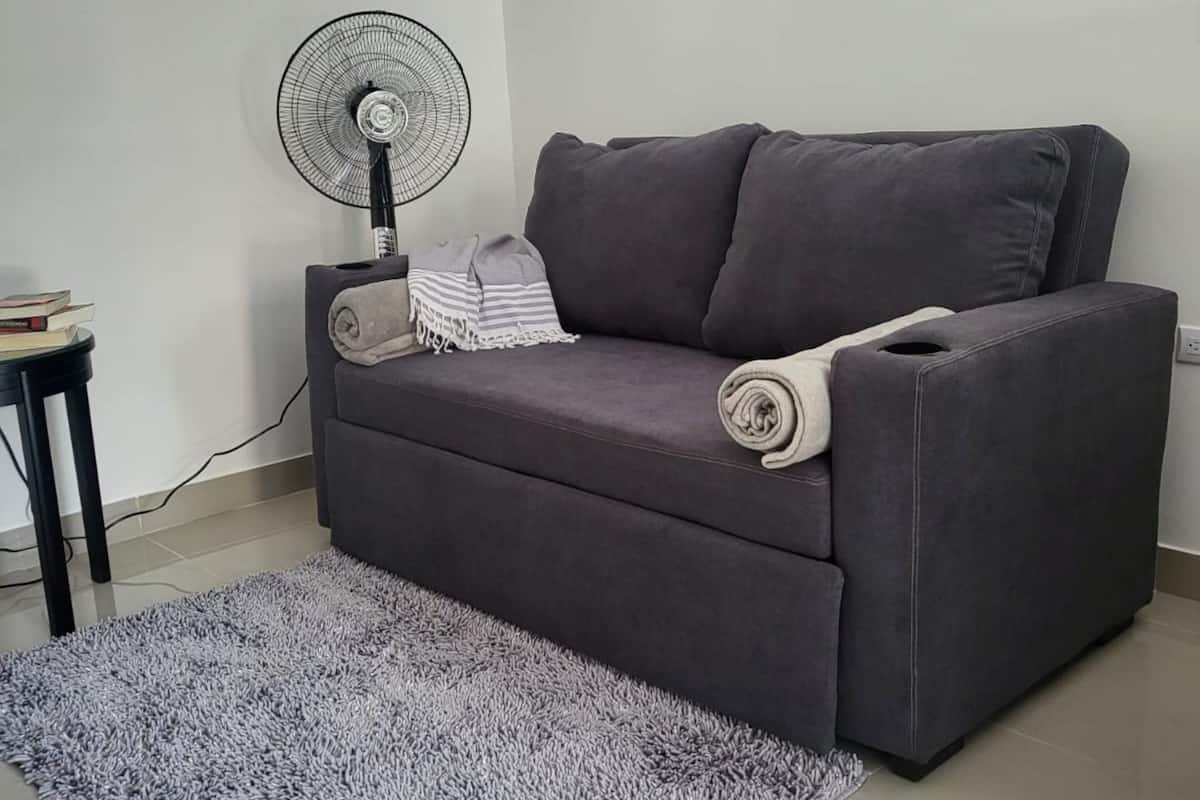 A living room with a grey sofa, a standing fan, a grey and white rug, and two framed pictures on the wall.