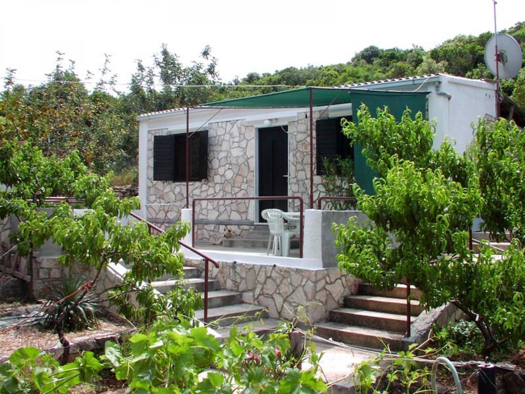 House, Smoking | Exterior