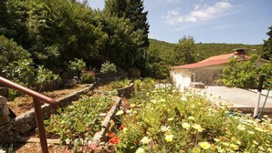 Unclassified image, 3 of 18, button - Holiday Houses, Villas Paulo1 - Peacefull and Charming (Vis)
