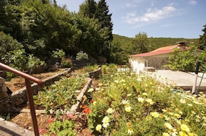 House, Smoking | 1 bedroom - Holiday Houses, Villas Paulo1 - Peacefull and Charming (Vis)