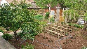 Apartment, Smoking - Apartments Marin - 200 m From Garden Festival (Tisno)
