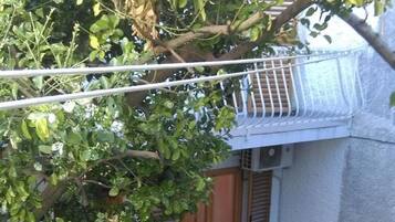 Apartment | Exterior