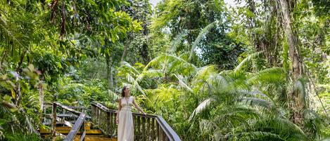 A woman standing on a wooden staircase surrounded by lush greenery.