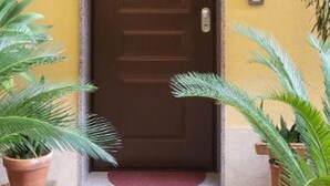 Una puerta marrón con un felpudo pequeño en la entrada, un portero automático en la pared y dos macetas a cada lado.