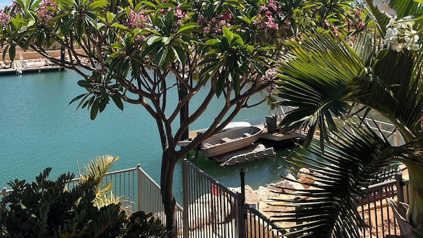 A tree with pink flowers and a view of a calm body of water. - Gecko - On the Marina With Pool & Private Jetty, 4 Kestrel Place, Exmouth (Exmouth)