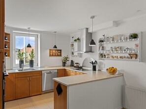 Fridge, microwave, dishwasher, cookware/dishes/utensils - "Adelina" - 500m from the sea by Interhome (Løkken)