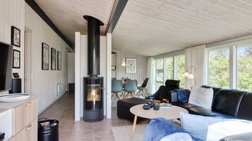 TV, fireplace, DVD player