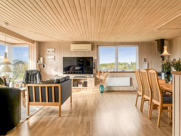 تلفزيون، مشغل دي في دي