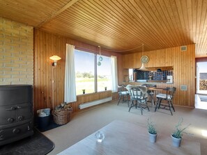 Télévision, cheminée, lecteur de DVD