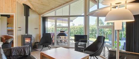 تلفزيون، مدفأة، مشغل دي في دي