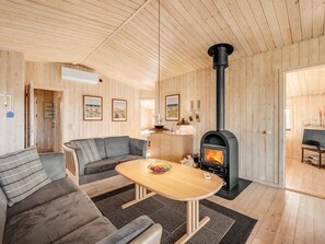 TV, fireplace, DVD player