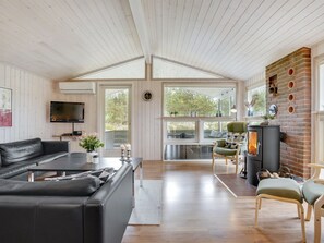 تلفزيون، مدفأة