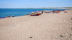 Una playa con varios barcos alineados en la arena, un cielo azul despejado y un mar tranquilo.