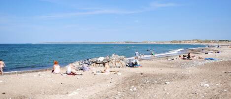 Ranta