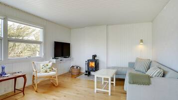 Télévision, cheminée