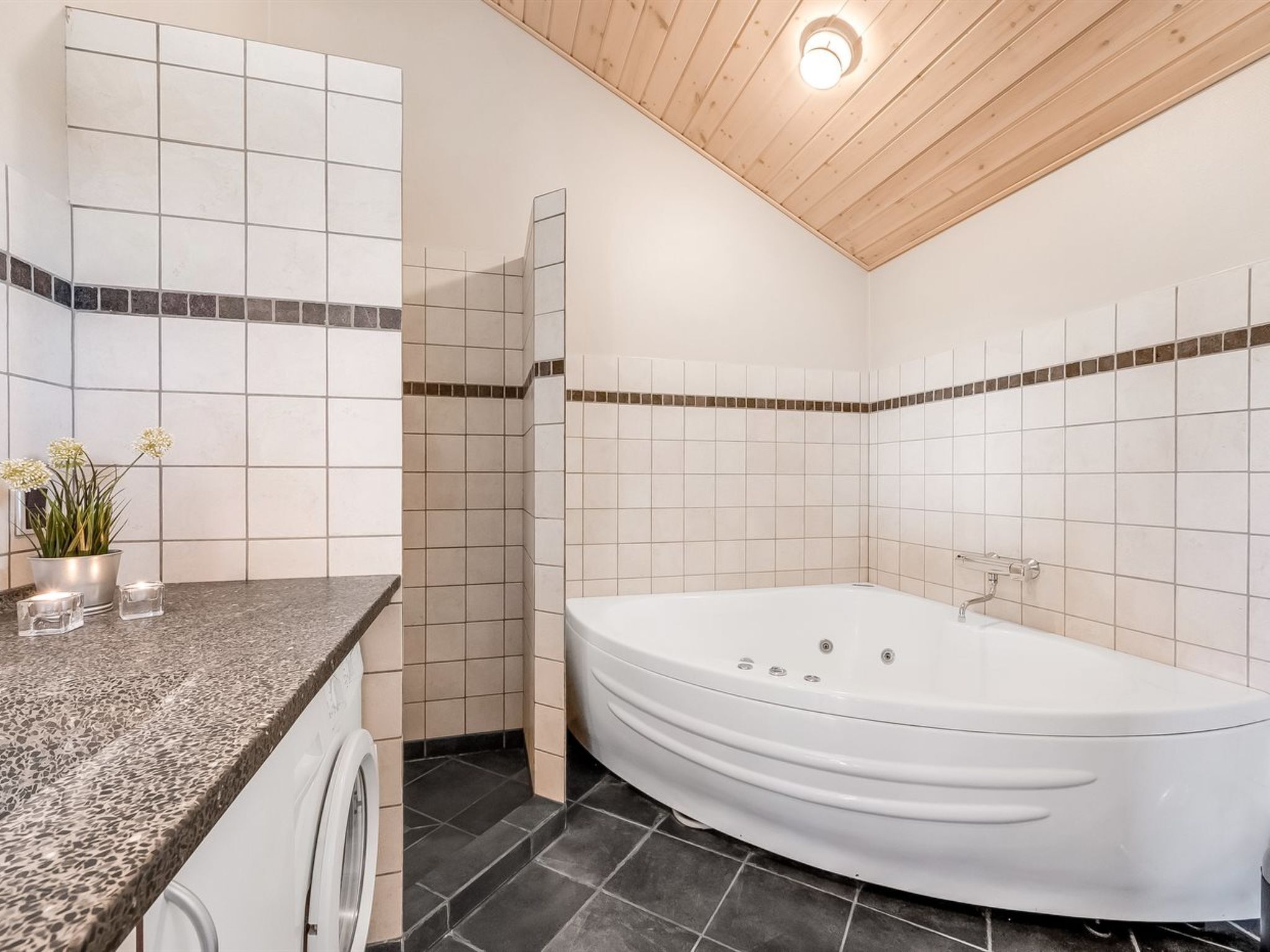 A bathroom with a freestanding bathtub, a washing machine, and a countertop with a plant.