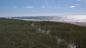 Une plage avec un ciel dégagé et des dunes couvertes d’herbe.