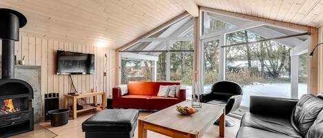 TV, fireplace, DVD player