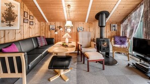 Een gezellig interieur van een chalet met een houten plafond, een bank, een fauteuil, een tafel, een televisie en een houtkachel.