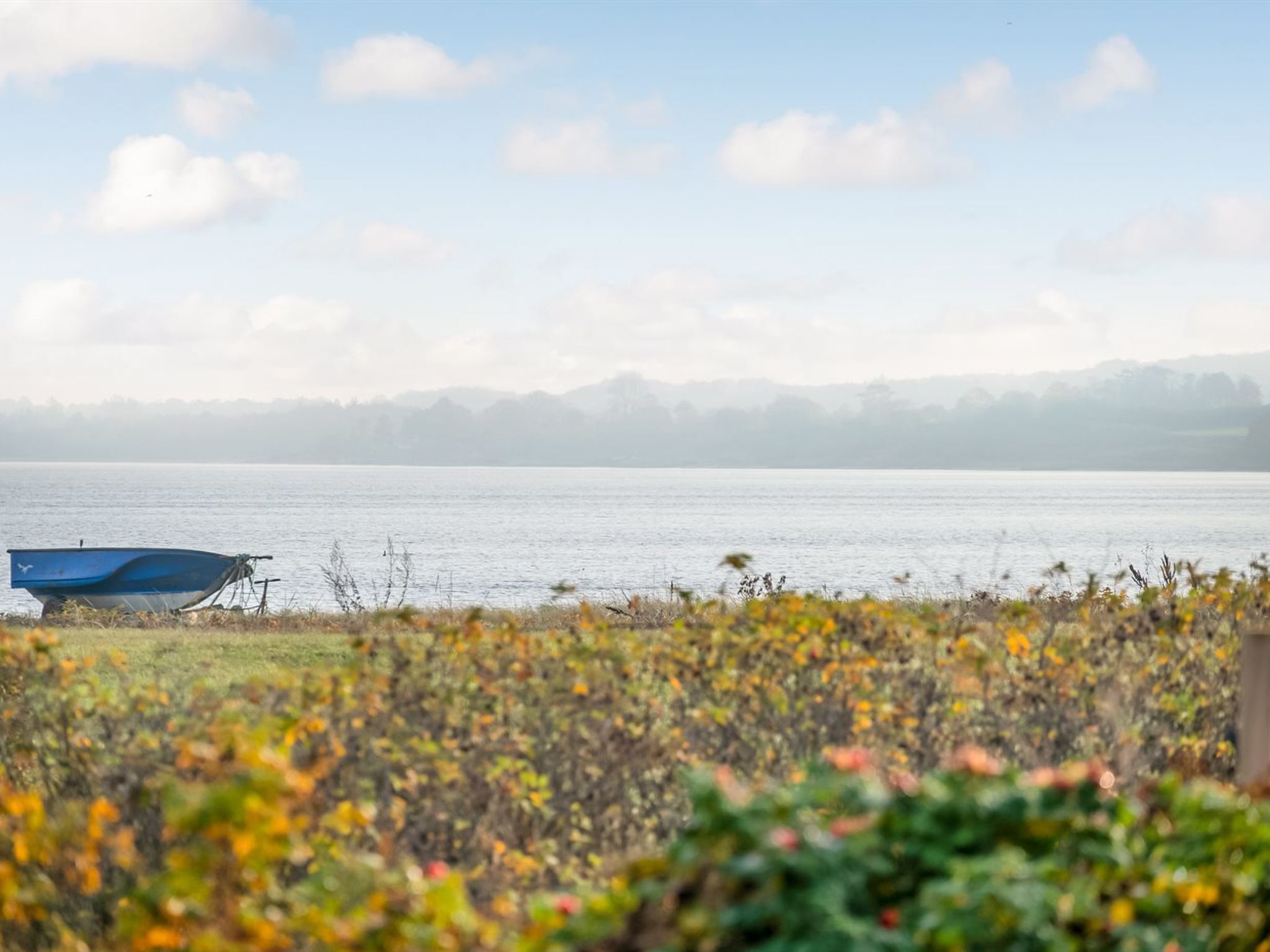 Une vue paisible sur un lac, avec un bateau amarré sur la rive, entouré d’une végétation luxuriante et sous un ciel dégagé.