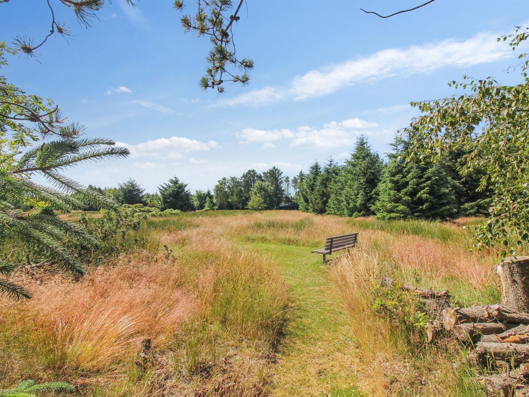 A bench in a grassy field with trees in the background.