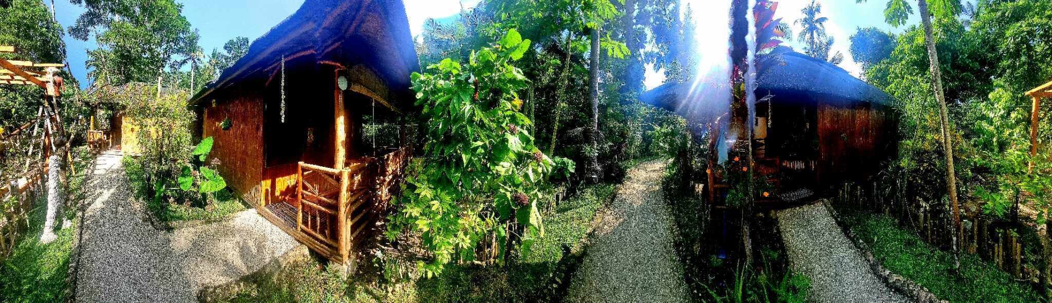 A rustic wooden cabin with a thatched roof, surrounded by lush greenery and a gravel path.