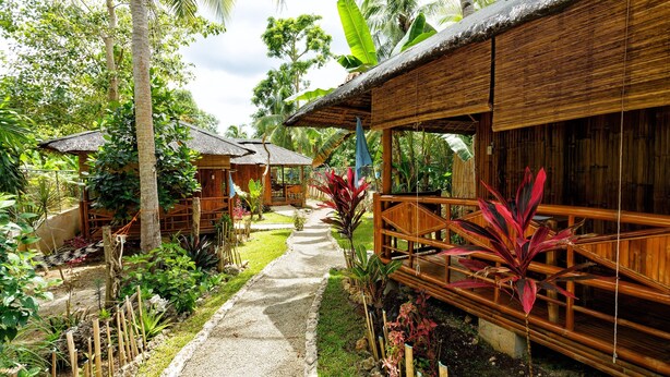 A tropical resort with wooden structures, a paved pathway, and lush greenery. - Camotes hidden huts-rooms-bar-restaurant (San Francisco)