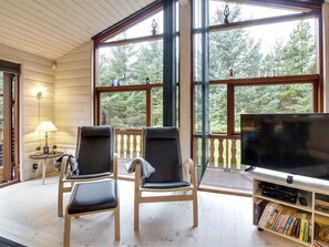 Tv, pejs, dvd-afspiller
