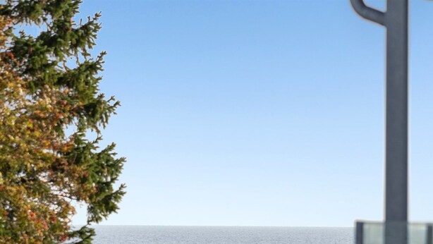 Blick auf die Küste, bewölkter Himmel, ein Baum links und ein Gebäude rechts.
