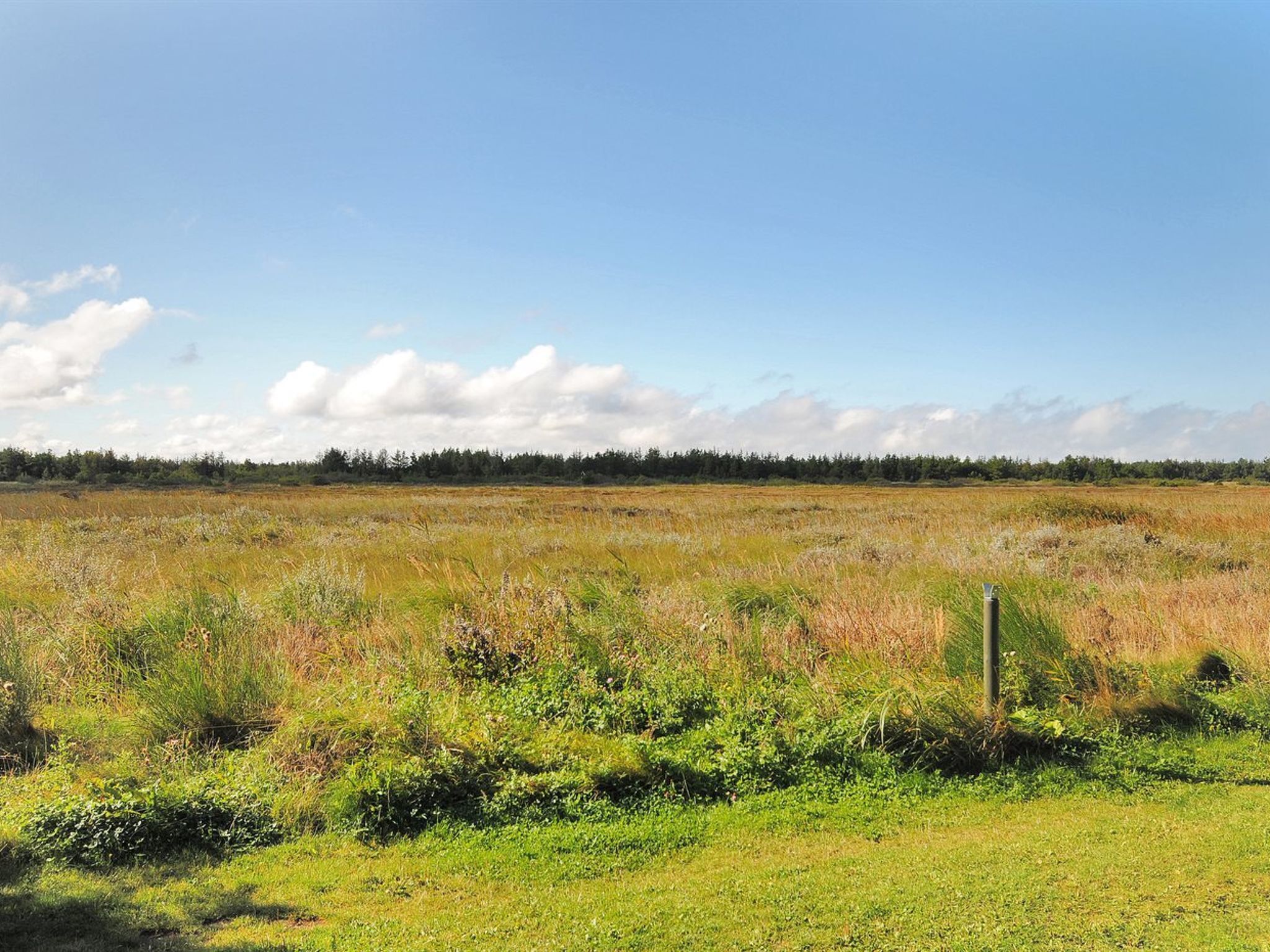 A flat, open field with a wooden post in the foreground and a line of trees in the background.
