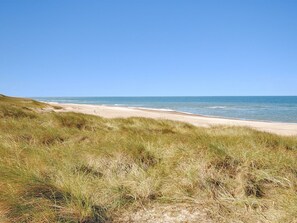 Une plage avec des dunes de sable et de l’herbe au premier plan.
