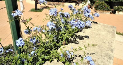 V2 Vilar do Jardim