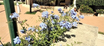 V2 Vilar Jardim Piscina wifi