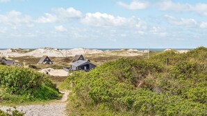 A coastal landscape with a path leading to a row of houses.