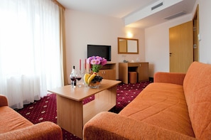 Basic Suite | Living area | Flat-screen TV