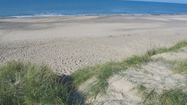 Beach - "Ernbiorn" -  from the sea by Interhome (Harboøre)