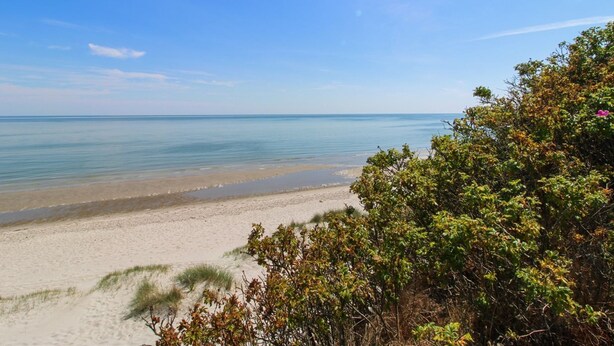 A beach with clear blue water, sandy shore, and dense green foliage.