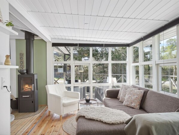 Fernseher, Kamin, DVD-Player